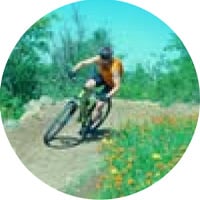 reviewer's profile photo